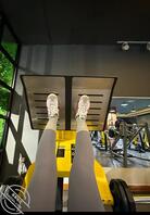 健身自拍漏13感觉好兴奋有点拉丝了哈哈哈1