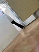 女厕偷拍 偷拍贴0