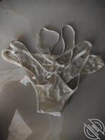 小姨子的骚内裤2