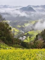 广西，男，想试试和男生的感觉&hellip;&hellip;