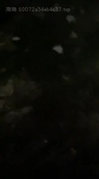 偷拍隔壁邻居高中生
