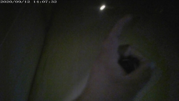 情趣房干熟女老板娘   有验证