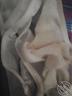 求攻略处三亲妹妹0