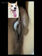 你的老婆淫叫声很大很骚