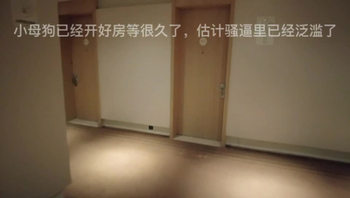 东莞厚街某工厂老板跟财务女总监偷情