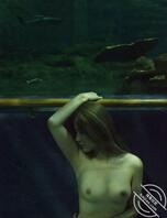 人妻海洋馆刺激露出1