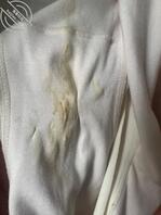 丈母娘的原味内裤0