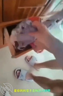 采阳补阴【小阿姨】专挑侄子的鸡鸡！换上小处男母亲的丁字裤啪啪啪1