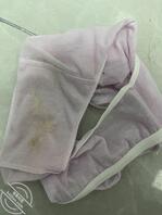 表姐骚逼脱下来的1