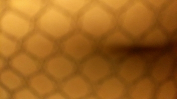 你的猫妹，网袜女上位激烈交合~