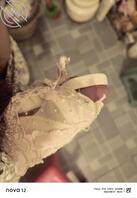 有没有乱伦成功的大神来教一下2