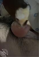 12）实录妈妈含着冰棍给我口交【原创】2