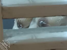 绿母恋母看看我妈这个母狗婊子贱货2