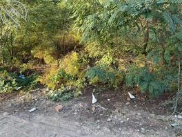 兰州发现车震野战圣地0