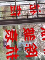 做完艾灸没顾上脱衣服硬上