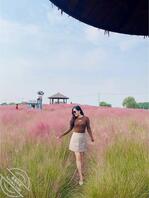 绿母骚妈夏赵薇2