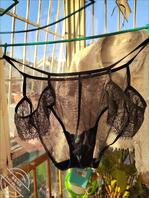 发小媳妇好骚，看的弟弟邦邦硬1