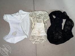 浦东同栋人妻邻居的骚内裤   有附近同好    贡献老婆骚内上门打胶2