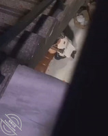 和姐妹逛街遇到得事0