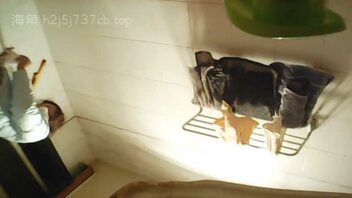 我的最爱妈妈_暗拍妈妈洗pp