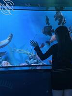 我用我的厚颜无耻把表弟和他的未婚妻小雅骗到酒店里操了0