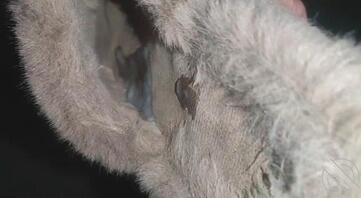 济南有没有一起的主页加1