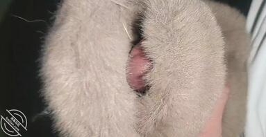 济南有没有一起的主页加2