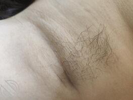 让我看看你们毛发