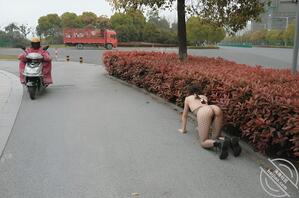 就喜欢把逼漏出来---母狗爬行姿势，城市绿化带极限露出，路人有眼福了1