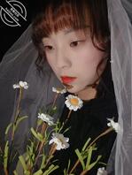 楚雄寻人据说是楚师的1