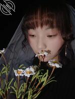 楚雄寻人据说是楚师的2