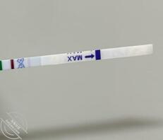 【真实原创】171、婶婶怀孕了，这个夏天突然感觉有些冷0