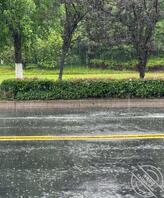 【真实原创】171、婶婶怀孕了，这个夏天突然感觉有些冷2