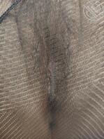 好久没发老骚笔岳母了，最近一直没有合适的时间以及地点，发点以前的照片吧2