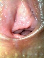 每天5张老婆照片