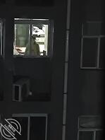 骚货一个 勾引人
0