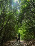 男孩十八岁成人礼2