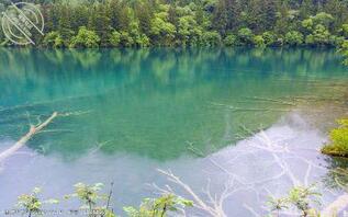 (原创)有妈的孩子像个宝。11