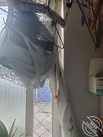 骚货熟女母猪的内衣内裤，反图