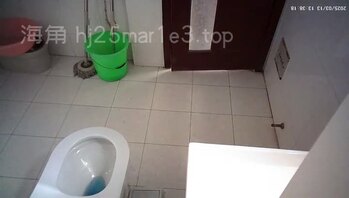 财务姐姐尿尿的大屁股