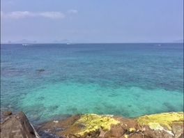 震惊！粥哥孤身一人前往三亚揭秘&ldquo;海天盛筵&rdquo;