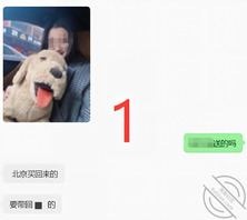 【中场休息】我尝试过表白小姨子,或者说撩骚她。0