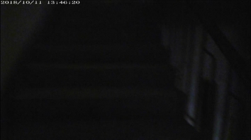 黑丝露脸熟女有验证