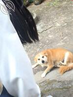 我把表妹给操了2