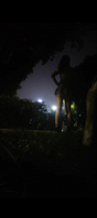 夜晚公园小可爱主动翘臀求艹