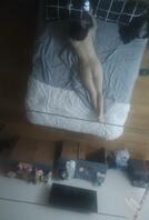 这种天花板上的镜子，应该是酒店的标准，实在是太喜欢了