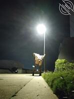 伪娘户外露出被两美女撞见，简直太刺激了