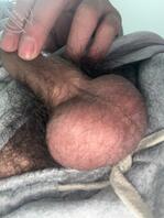 猜猜有多长多粗？猜对的有神秘奖励2