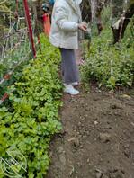 146【海角原创】库存- 我狠狠打嫂子的屁股，对白很多，最后口爆吞精！1