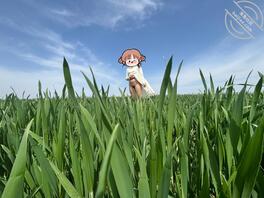 麦田露出，自以为很好看，没人评论么2